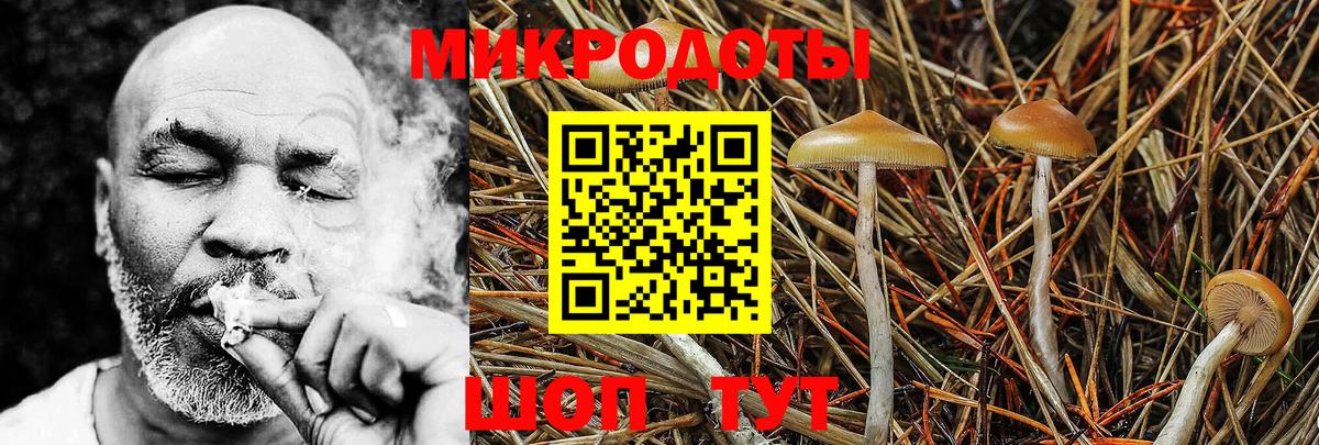 Галлюциногенные грибы Cubensis  Вход с VPN  Рузаевка  Галлюциногенные грибы ЛСД 